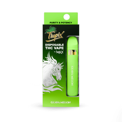 MKX Guava Melon Disposable Guava Melon disposable vape info portable disposable vaporizer pre-filled disposable device single-use vape guide