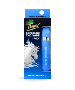 MKX Blueberry Blaze disposables Blueberry Blaze flavor vaporizer info disposable vaporizer guide ready-to-use disposable devices portable disposable vape