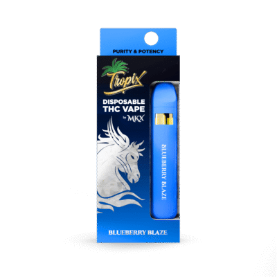 MKX Blueberry Blaze disposables Blueberry Blaze flavor vaporizer info disposable vaporizer guide ready-to-use disposable devices portable disposable vape